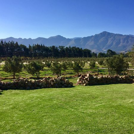 Olive Cottage Franschhoek Zewnętrze zdjęcie