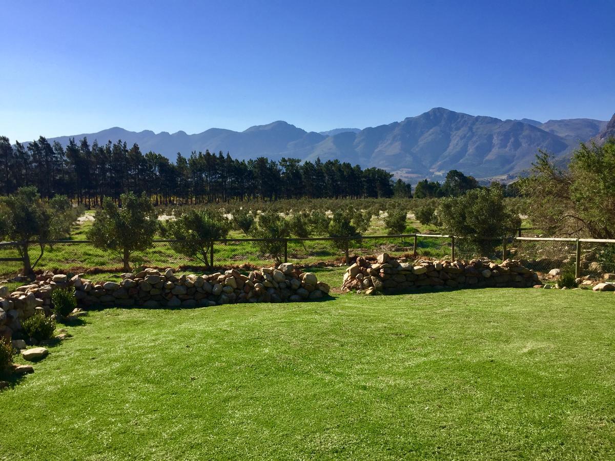 Olive Cottage Franschhoek Zewnętrze zdjęcie